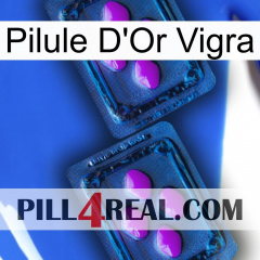 Vigra Gold Pill 03